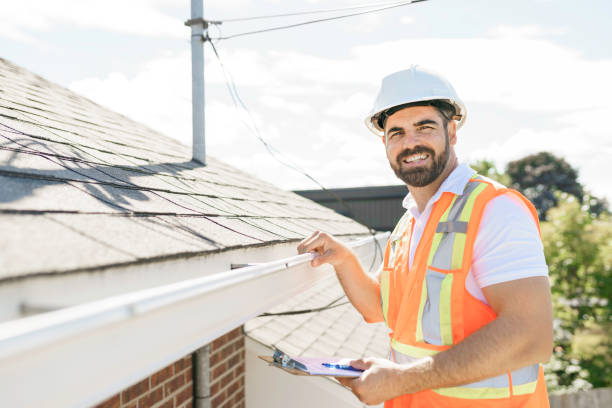 Best Roof Ventilation Installation  in Portales, NM