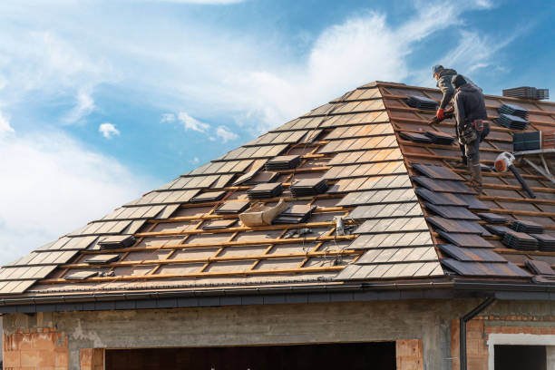 Best Skylight Installation and Repair  in Portales, NM