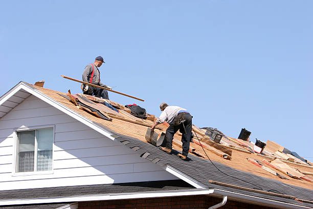 Best Cold Roofs  in Portales, NM
