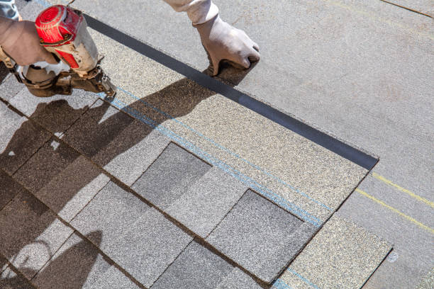 Best Chimney Flashing Repair  in Portales, NM